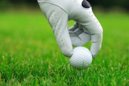 Green Fees